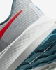 Giày Nike Chính hãng - Air Zoom Pegasus 39 Nam - Xám | JapanSport DH4071-003