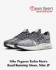 Giày Nike Nam Chính Hãng - PEGASUS TURBO - Xám | JapanSport DM3413-005