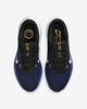 Giày Nike Nam Chính Hãng - Nike Winflo 10 - Đen/Xanh | JapanSport DV4022-005