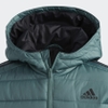 Áo Adidas Chính Hãng - PUFFER JACKET - Kids - Xanh | JapanSport EW6347