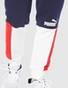 Quần Puma Nam Chính Hãng - ESS+ BLOCK Men's Sweatpants - Xanh/Trắng/Đỏ | JapanSport 849537-06