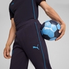 Quần Puma Chính Hãng - Manchester City Ftblarchive - Màu xanh | JapanSport 777566-32