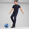 Quần Puma Chính Hãng - Manchester City Ftblarchive - Màu xanh | JapanSport 777566-32