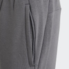 Quần Thể Thao Adidas Chính Hãng - Futuristic Fleece Cargo Pants- Màu Xám | JapanSport - HK2153