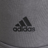 Quần Thể Thao Adidas Chính Hãng - Futuristic Fleece Cargo Pants- Màu Xám | JapanSport - HK2153