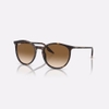 Kính Ray-Ban Chính hãng - Havana and Light Brown - RB2204F 902/51-54mm - Nữ | JapanSport