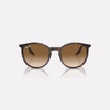 Kính Ray-Ban Chính hãng - Havana and Light Brown - RB2204F 902/51-54mm - Nữ | JapanSport