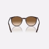 Kính Ray-Ban Chính hãng - Havana and Light Brown - RB2204F 902/51-54mm - Nữ | JapanSport