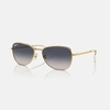 Kính Ray-Ban Chính hãng - Polished Arista Gold - RB3733 001/78 56mm - Nam | JapanSport
