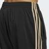 Quần Adidas Nam Chính Hãng - TRICOT SST TRACK PANTS - Đen/Nâu | JapanSport HI3004