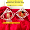 Khung Xoay Kèm Đế Nhựa Trưng Bày Xu  - SP007951