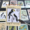 Bộ 8 tem Việt Nam chủ đề chim