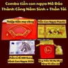 Tiền Lì Xì 100 Euro Hình Con Ngựa 2026 - SP008200