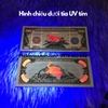 Tiền Lì Xì 1 Triệu Dola Mỹ Hình Con Mèo Dạ Quang - Phukiensuutam.com