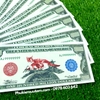 Tiền Lì Xì 1 Triệu Dola Mỹ Hình Con Mèo Dạ Quang - Phukiensuutam.com