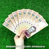 Tiền Lì Xì Tết Hình Con Mèo của Venezuela - Phukiensuutam.com