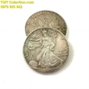 Xu Mỹ - USA 1 Dollar Liberty 1900 FAKE - TMT Collection.com