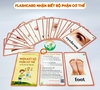 flashcard-bo-phan-co-the-tieng-anh