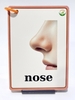 flashcard-bo-phan-co-the-tieng-anh