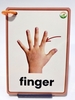 flashcard-bo-phan-co-the-tieng-anh