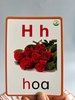 flashcard-hoc-chu-cai