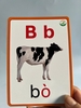 flashcard-hoc-chu-cai