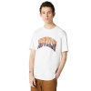 Áo Converse Twisted Varsity Graphic Tee - 10018383102