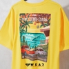 Áo Vans VTCS Poster Short Sleeve Crew - VN0A4RSM85W