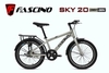 Xe đạp touring FASCINO SKY 20: Xe đạp touring khung thép, sơn tĩnh điện, 1 tốc độ, RẺ NHẤT