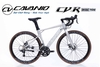 Xe đạp đua CAVANIO CV-R: Xe Nhôm Giá tốt nhất 2026
