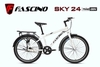 Xe đạp địa hình FASCINO SKY 24: Khung thép, sơn tĩnh điện, 1 tốc độ, RẺ NHẤT
