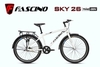 Xe đạp địa hình FASCINO SKY 26: Khung thép, sơn tĩnh điện, 1 tốc độ, RẺ NHẤT