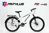 Xe đạp địa hình PAPYLUS PZ1:  khung Thép cường lực, sơn tĩnh điện, cáp âm khung, Bánh 24, Ngon - Rẻ cho học sinh cấp 2