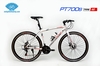 Xe đạp touring PAPYLUS PT700s: Khung Nhôm không mối hàn cáp âm, bộ truyền động SHIMANO 21 tốc độ, phanh đĩa, Lốp 700x28c, Xe Nhôm tay ngang Bán nhiều NHẤT