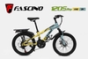 Xe Đạp Địa Hình FASCINO 120s PRO: Khung thép, Phuộc nhún, Bộ truyền động HAISYU 21 tốc độ, Phanh đĩa, Vành nhôm, Lốp 20x2.125. Tuyệt đẹp phù hợp học sinh cấp 1