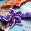 vong-co-hoa-cho-thu-cung-ipet-shop