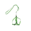 day-dat-kem-vong-co-yem-cho-cho-meo-duoi-5kg-ipet-shop