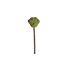 que-keo-catnip-thu-gian-danh-cho-meo-ipet-shop