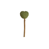 que-keo-catnip-thu-gian-danh-cho-meo-ipet-shop