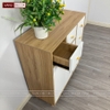Tủ trang trí đa năng TDN04_VD01