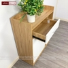 Tủ giày cao cấp TG95_VD01