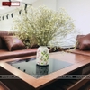 SOFA GỖ MÀU ÓC CHÓ SF02_VD01