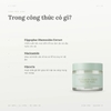 Dưỡng Ẩm I'm From Vitamin Tree Water Gel