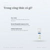 Kem Chống Nắng Round Lab Birch Moisturizing Mild Up Sunscreen