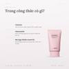 Kem Chống Nắng The Saem Eco Earth Power Sun Cream