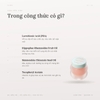 Mặt Nạ Ngủ Môi Tocobo Lip Mask