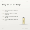 Set Nước Thần CNP Propolis Treatment Ampule Essence Special Edition
