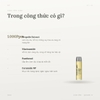Set Nước Thần CNP Propolis Treatment Ampule Essence Special Edition