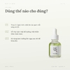 Tinh Chất Beauty of Joseon Calming Serum Green Tea + Panthenol