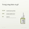 Tinh Chất Beauty of Joseon Calming Serum Green Tea + Panthenol